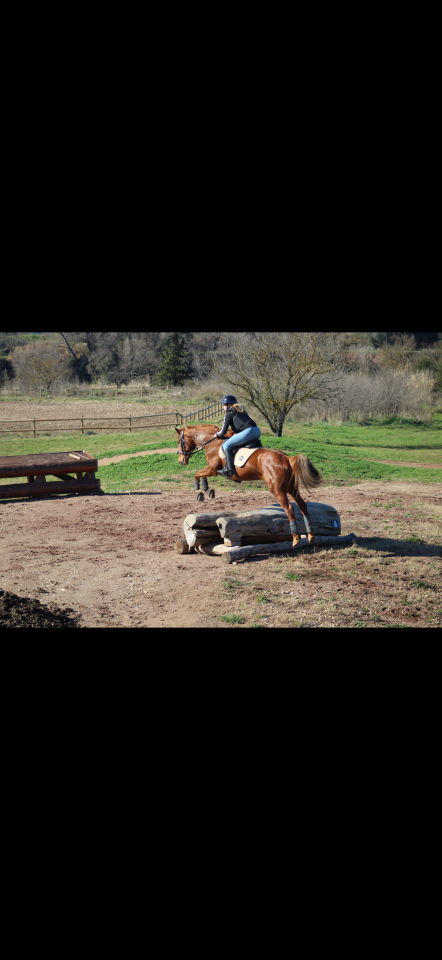 Epona du rei douzy AA