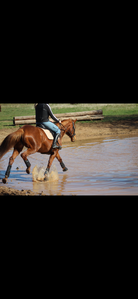 Epona du rei douzy AA