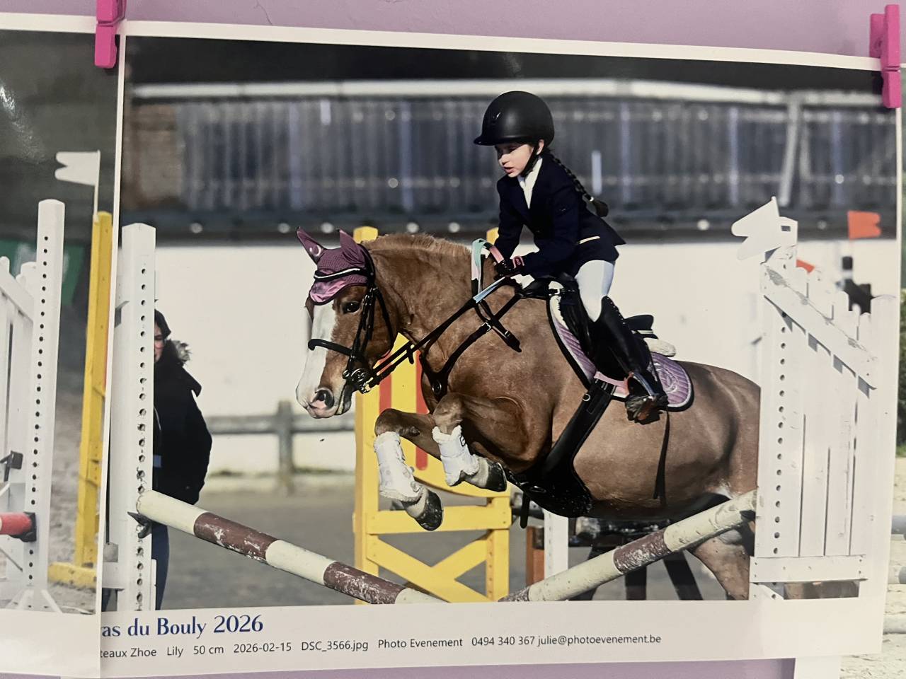Poney &agrave; vendre 