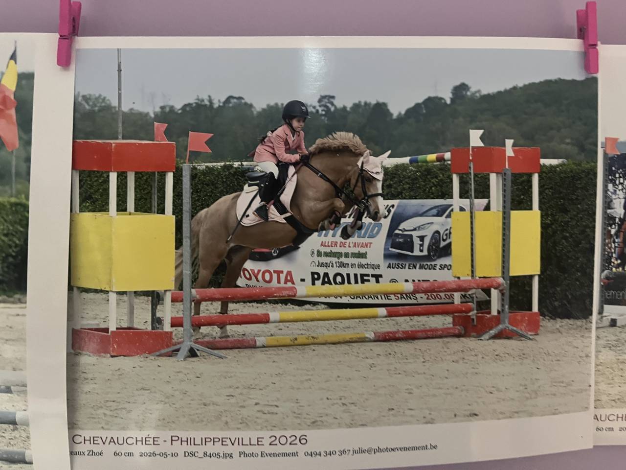 Poney &agrave; vendre 