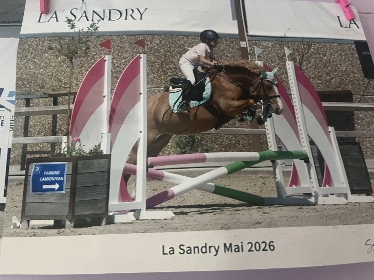 Poney &agrave; vendre 
