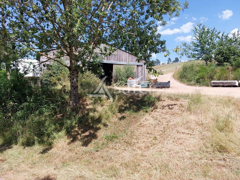 Propri&eacute;t&eacute; agricole d'environ 50 ha sur le Plateau de Millevach