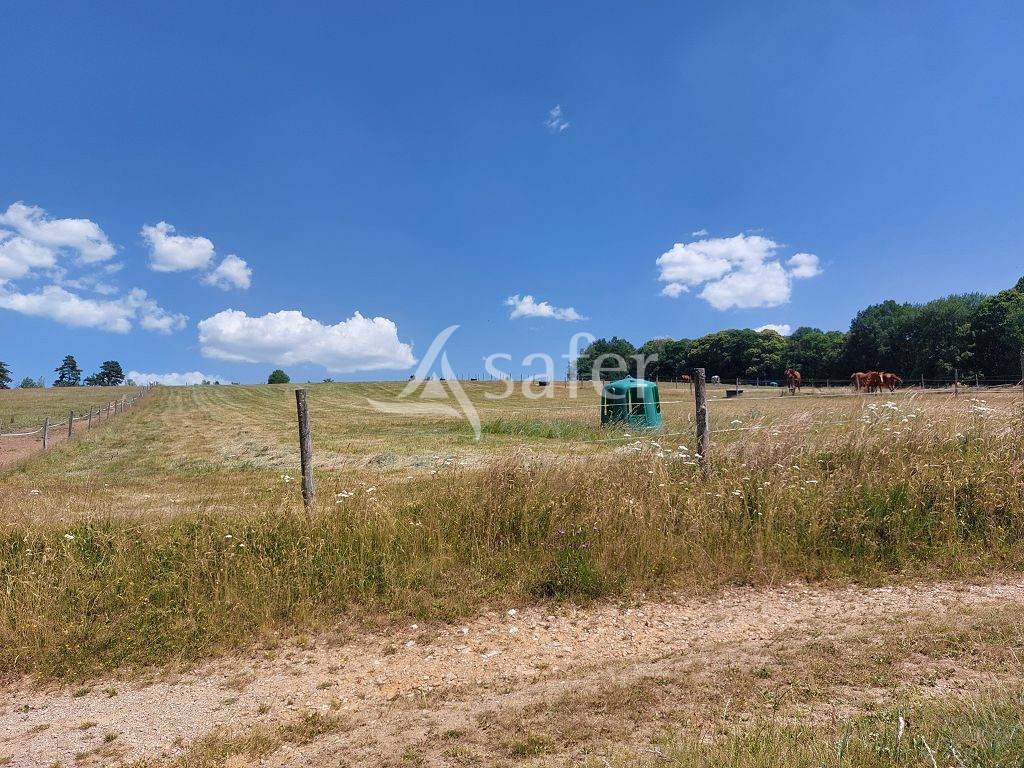 Propri&eacute;t&eacute; agricole d'environ 50 ha sur le Plateau de Millevach