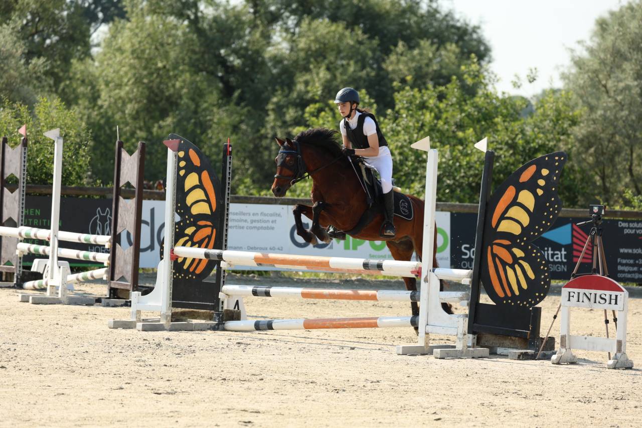 Poney de sport &agrave; vendre ou &agrave; louer