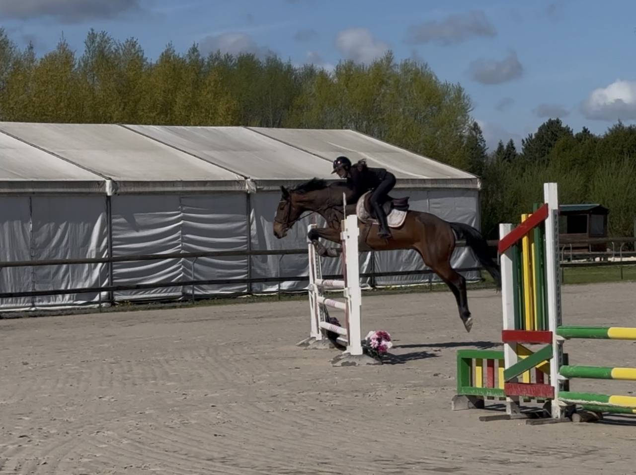 super jument cso 4ans 