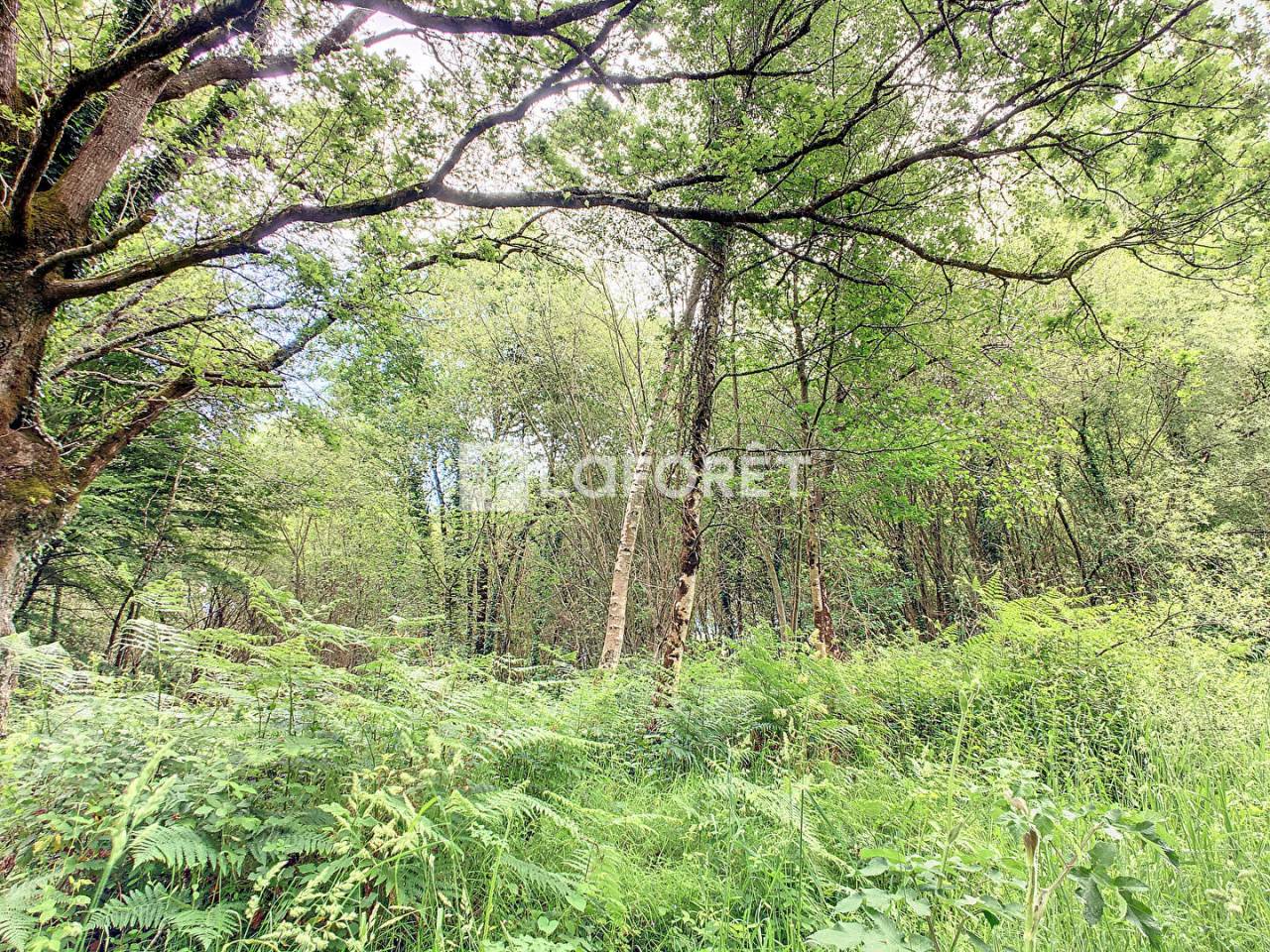 Terrain &agrave; vendre dans la For&ecirc;t de Broc&eacute;liande