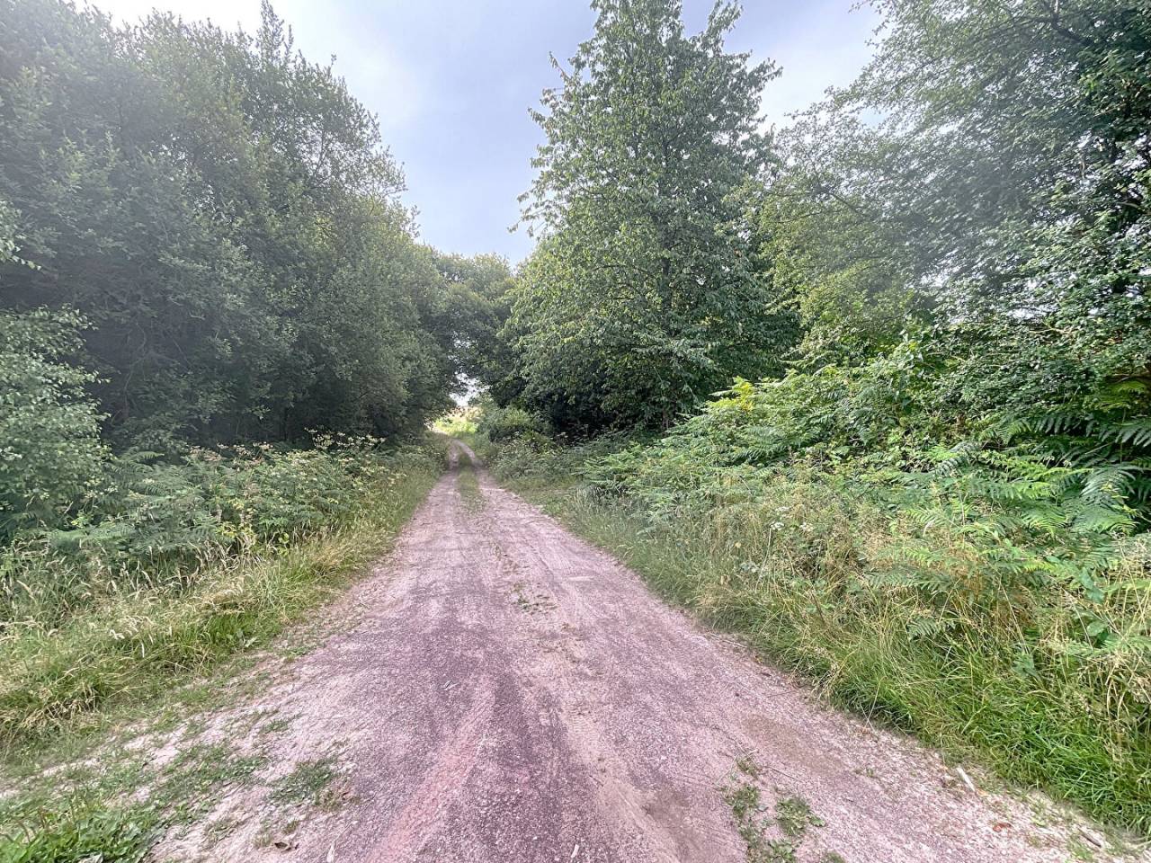 Terrain &agrave; vendre dans la For&ecirc;t de Broc&eacute;liande