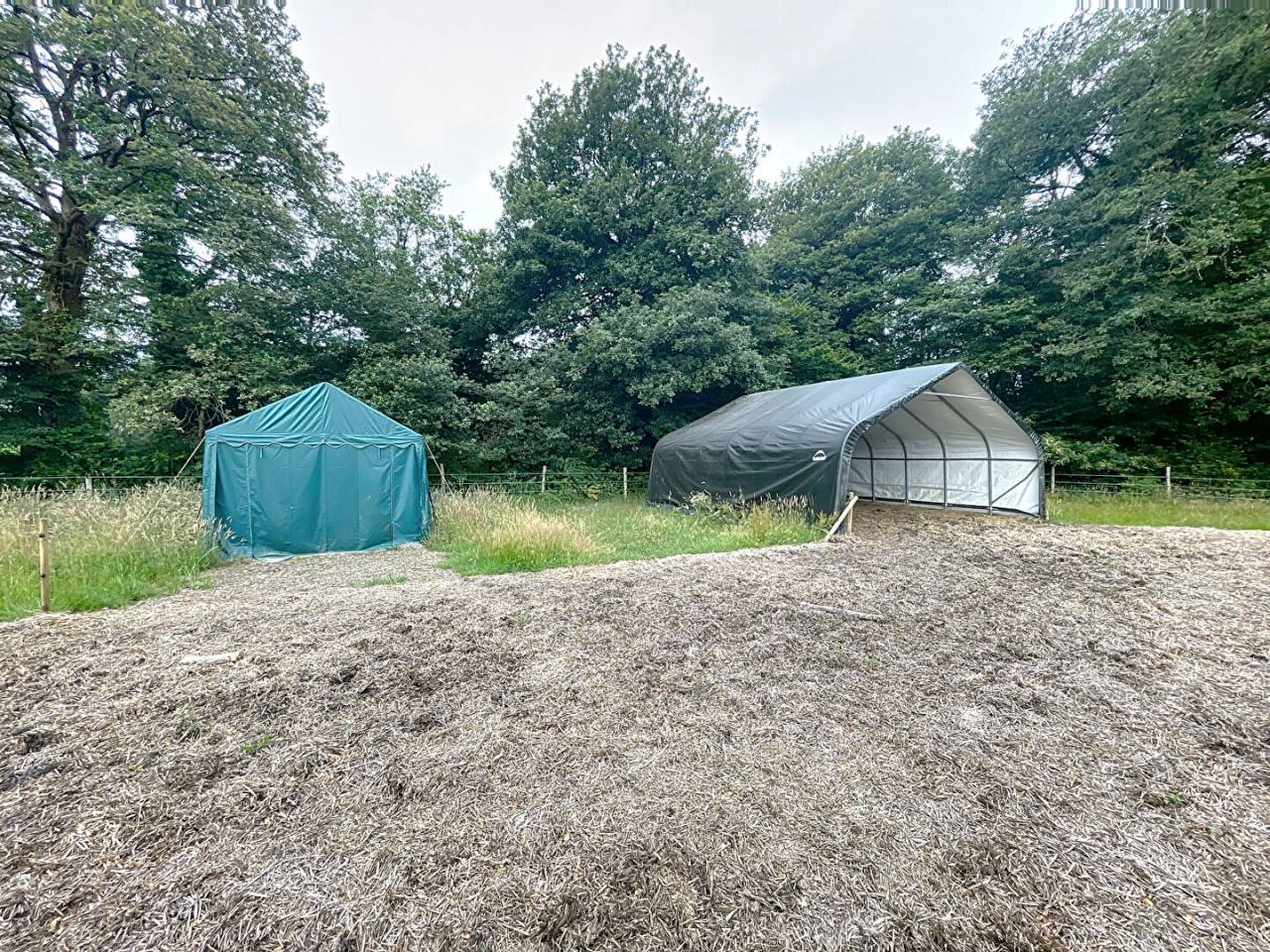 Terrain &agrave; vendre dans la For&ecirc;t de Broc&eacute;liande