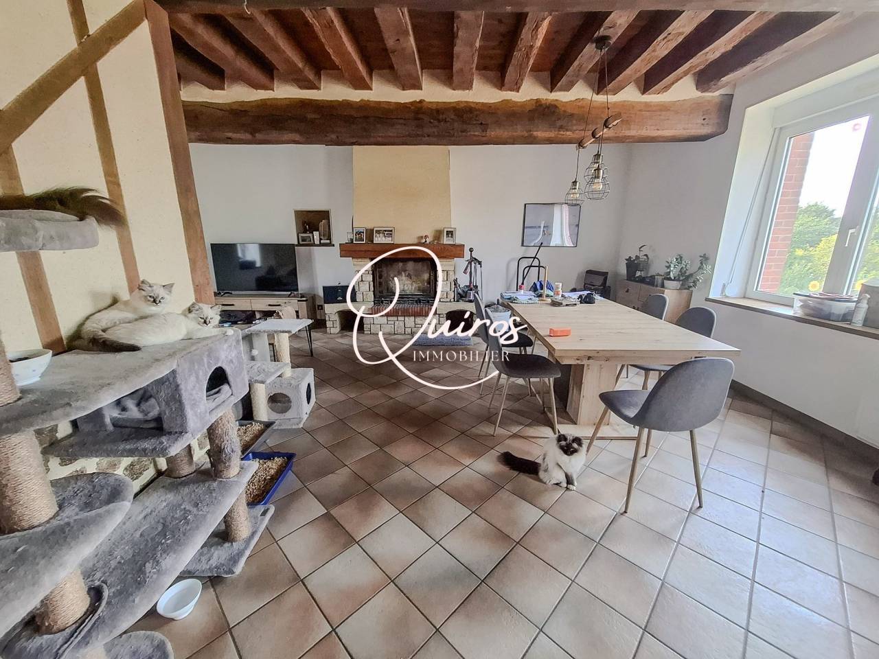 Propri&eacute;t&eacute; rural - 2,8 Hectares - Bagnoles-de-l'Orne