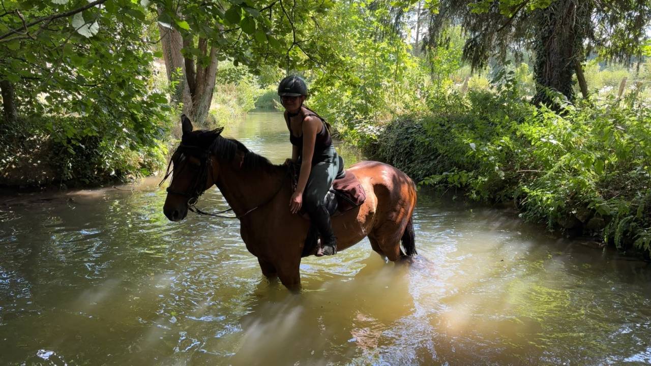 Gentil cheval 6 ans 