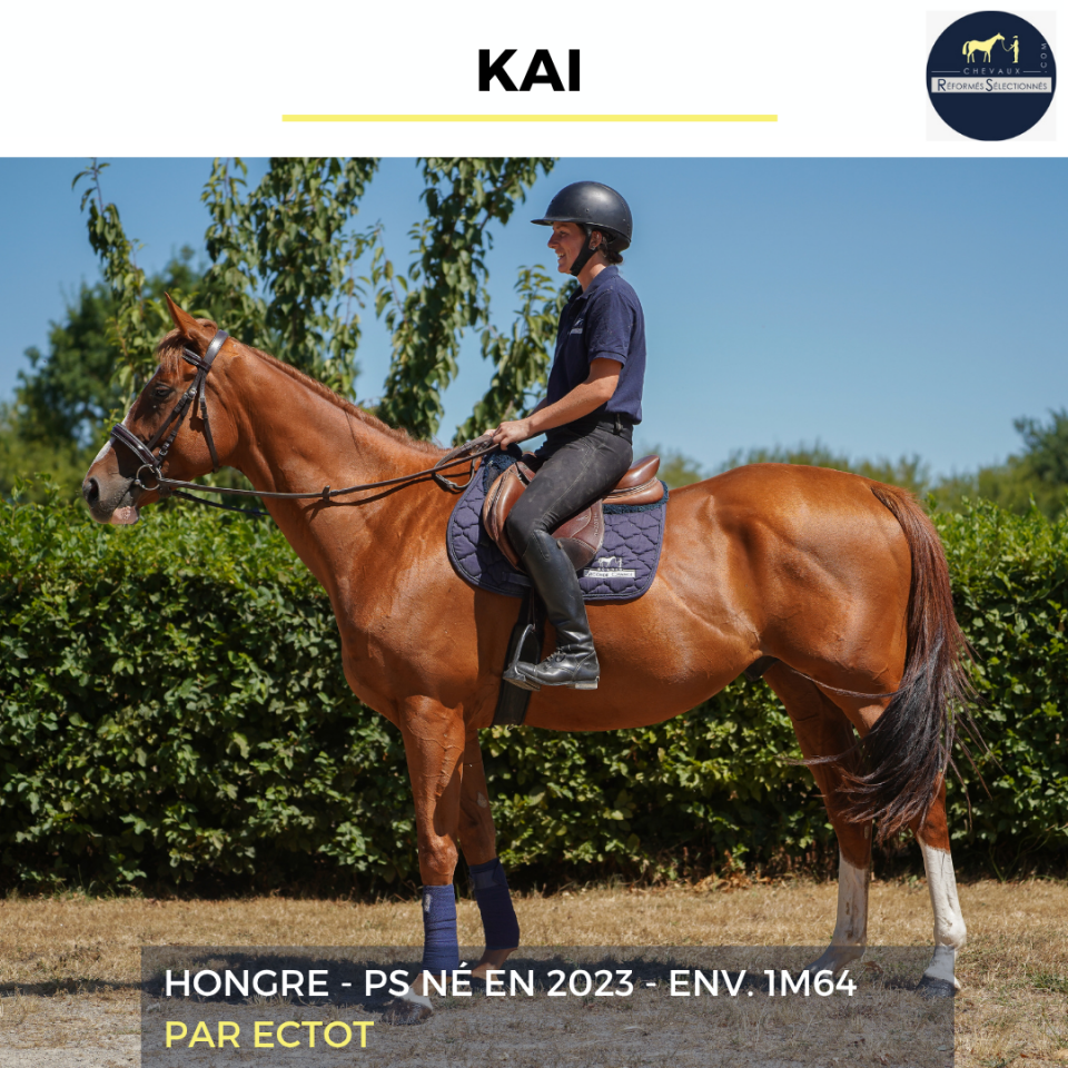 KAI - PS - 3 ANS