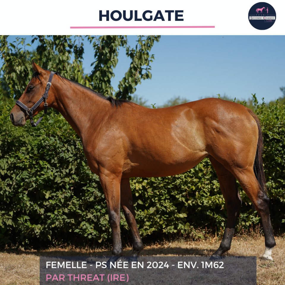 HOULGATE - PS - 2 ANS 
