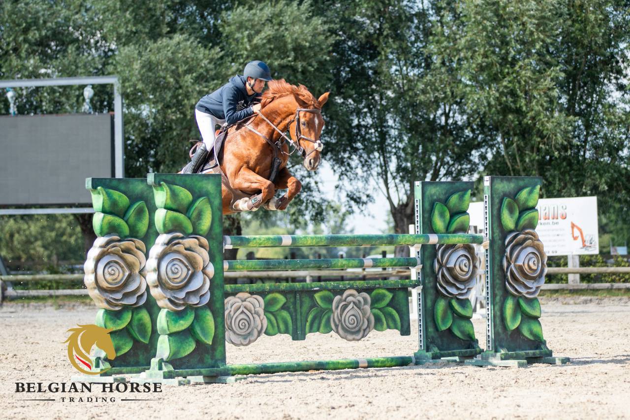 Gamko S x Quinar