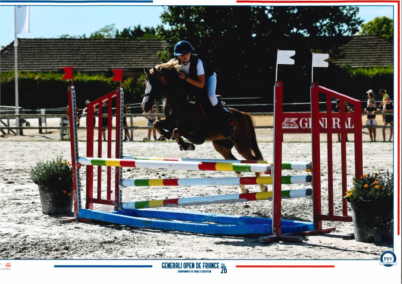 Yearing femelle Welsh Pony sect B - Origines S&eacute;rieuses 