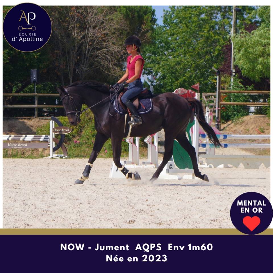Jeune AQPS top mental