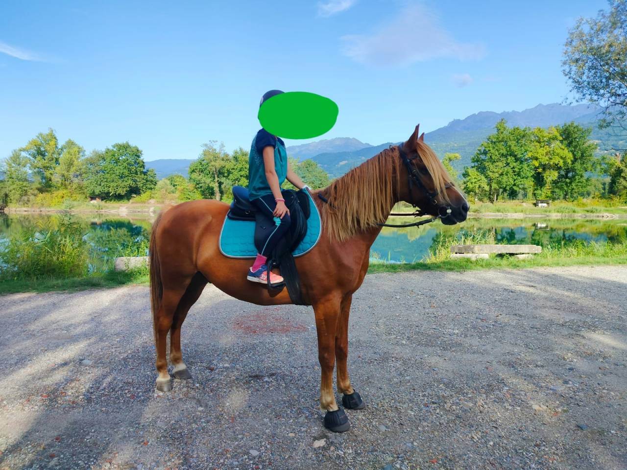 Tr&egrave;s beau poney ONC 7 ans