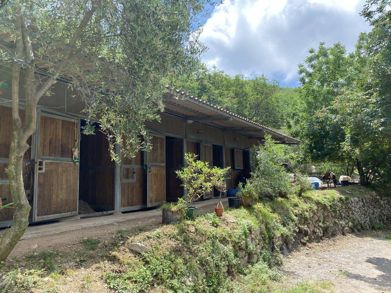 PROPRI&Eacute;T&Eacute; &Eacute;QUESTRE DE 6,5 HA  VENCE (06)