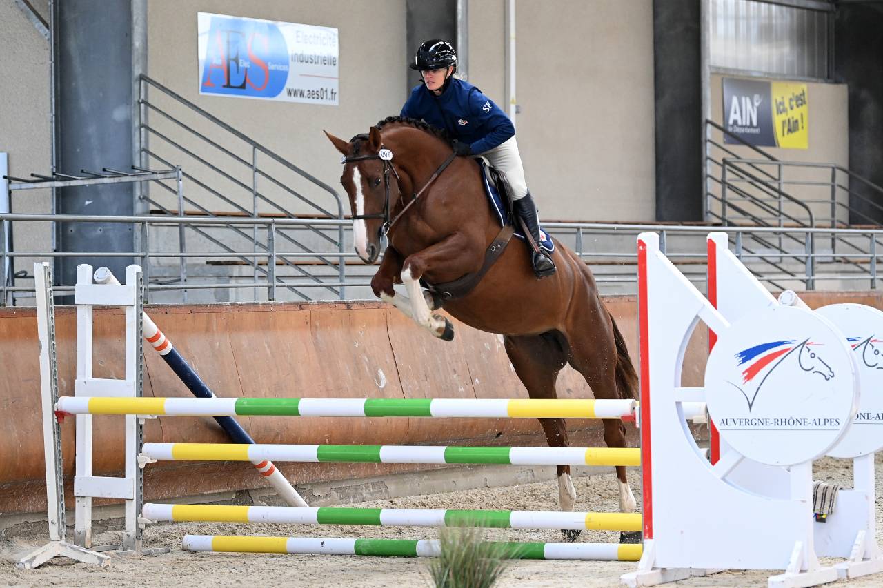 Jument 4 ans top lign&eacute;e pour connaisseur 