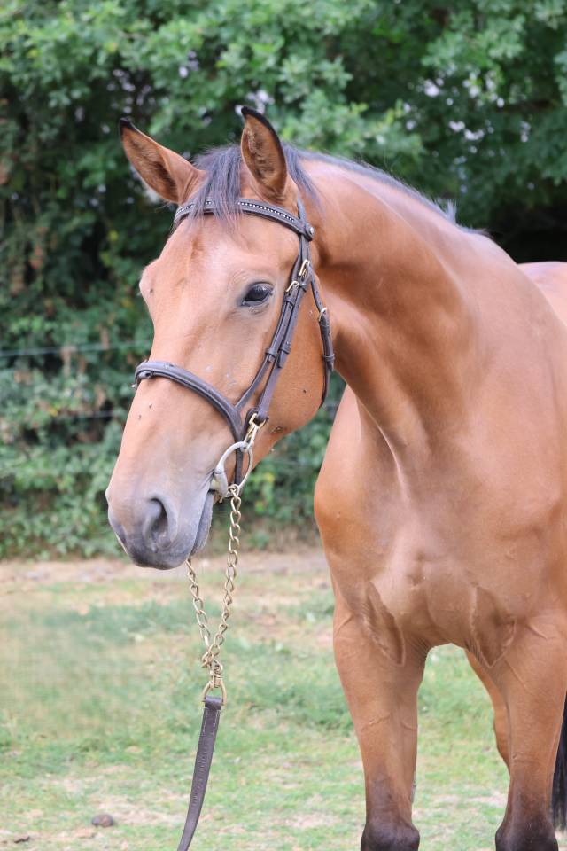 MABAKO D'EGLEFIN