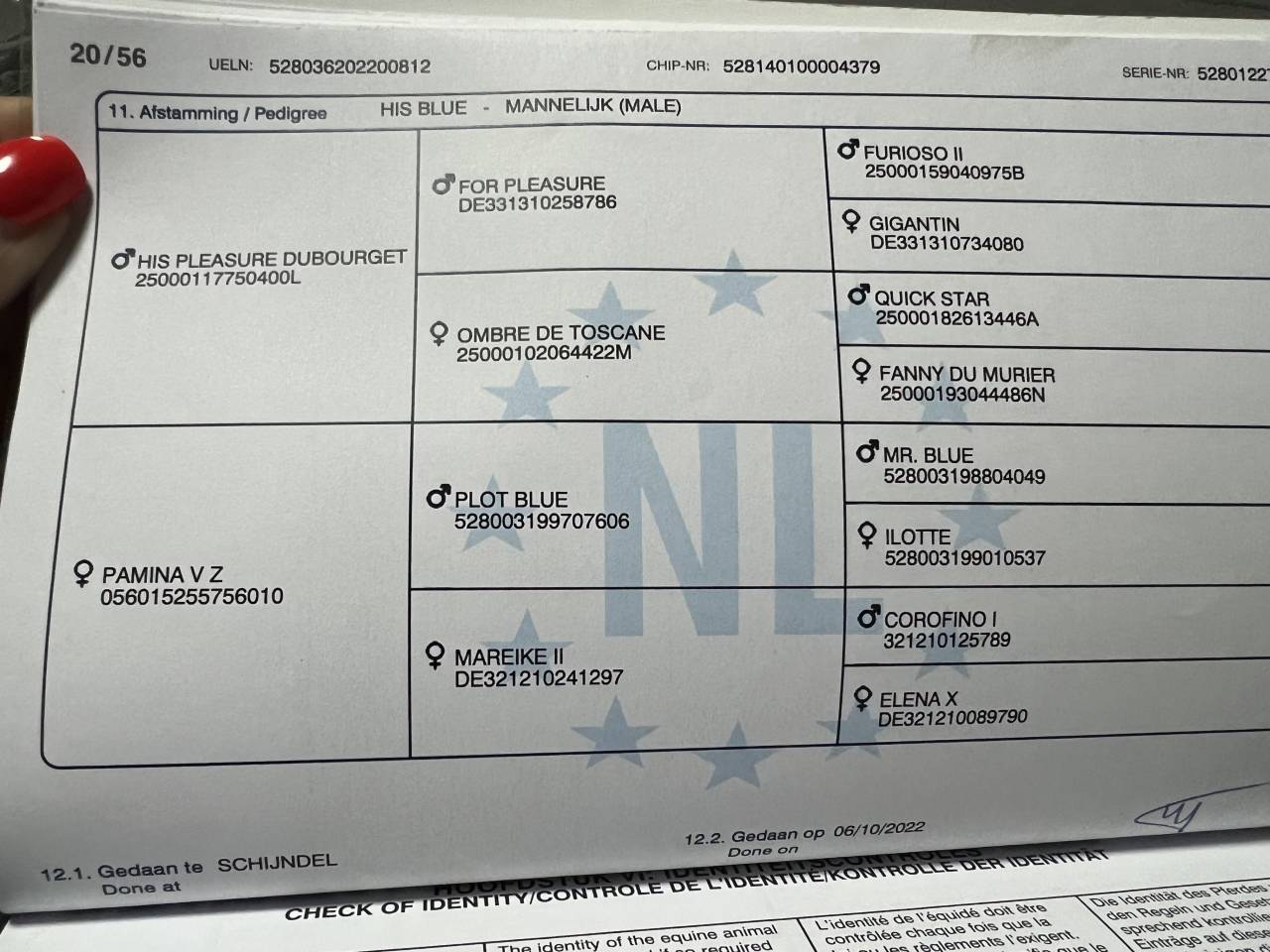 &Agrave; vendre &ndash; Hongre 2022 papier CSO 