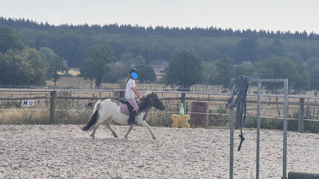 PONETTE SHETLAND 109CM - 3 ans - d&eacute;bourr&eacute;e 