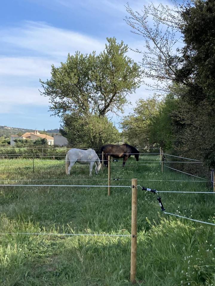 Propri&eacute;t&eacute; &eacute;questre avec villa et g&icirc;tes  Lan&ccedil;on-Provence