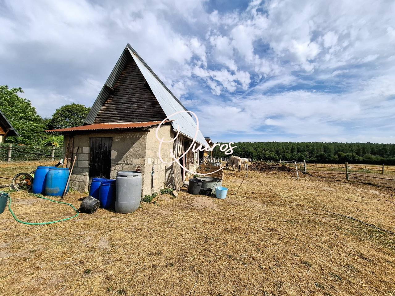 Maison de campagne - La Mailleraye (76) - 7900m2