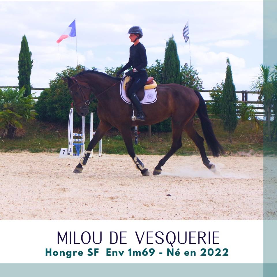 SF 4 ans env 1m69 facile et plaisant au travail 