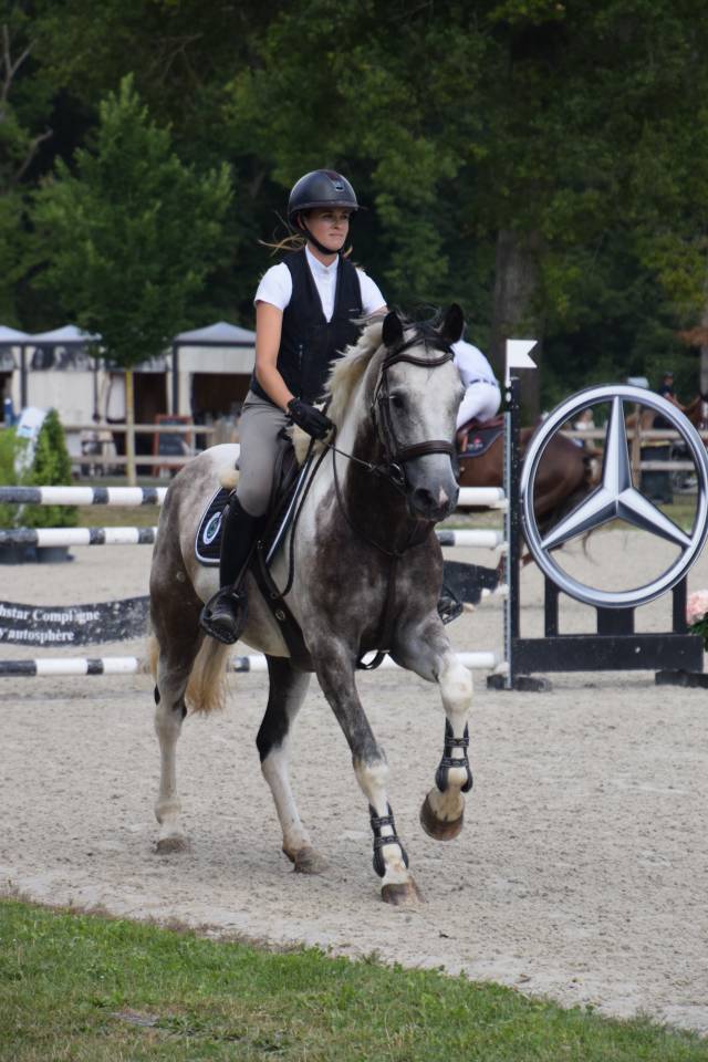 ⭐️ IDEFIX DE LALOIS ⭐️