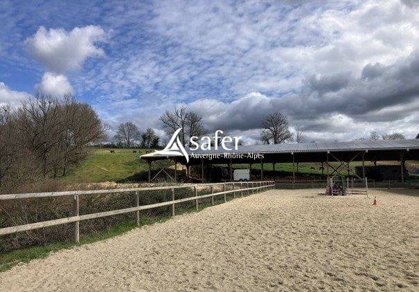 Poney Club et Centre Equestre en Montagne Thiernoise