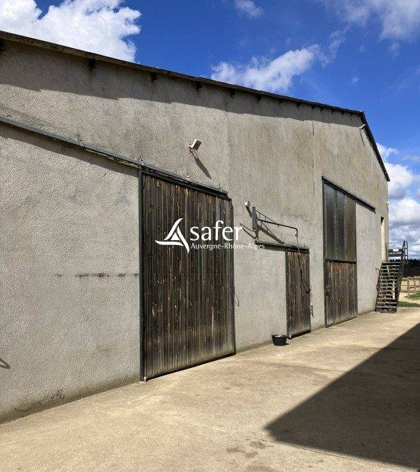 Poney Club et Centre Equestre en Montagne Thiernoise
