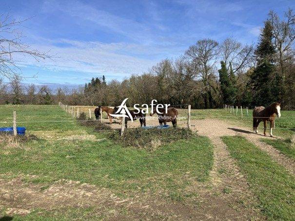 Poney Club et Centre Equestre en Montagne Thiernoise