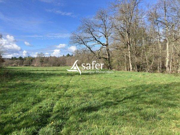 Poney Club et Centre Equestre en Montagne Thiernoise
