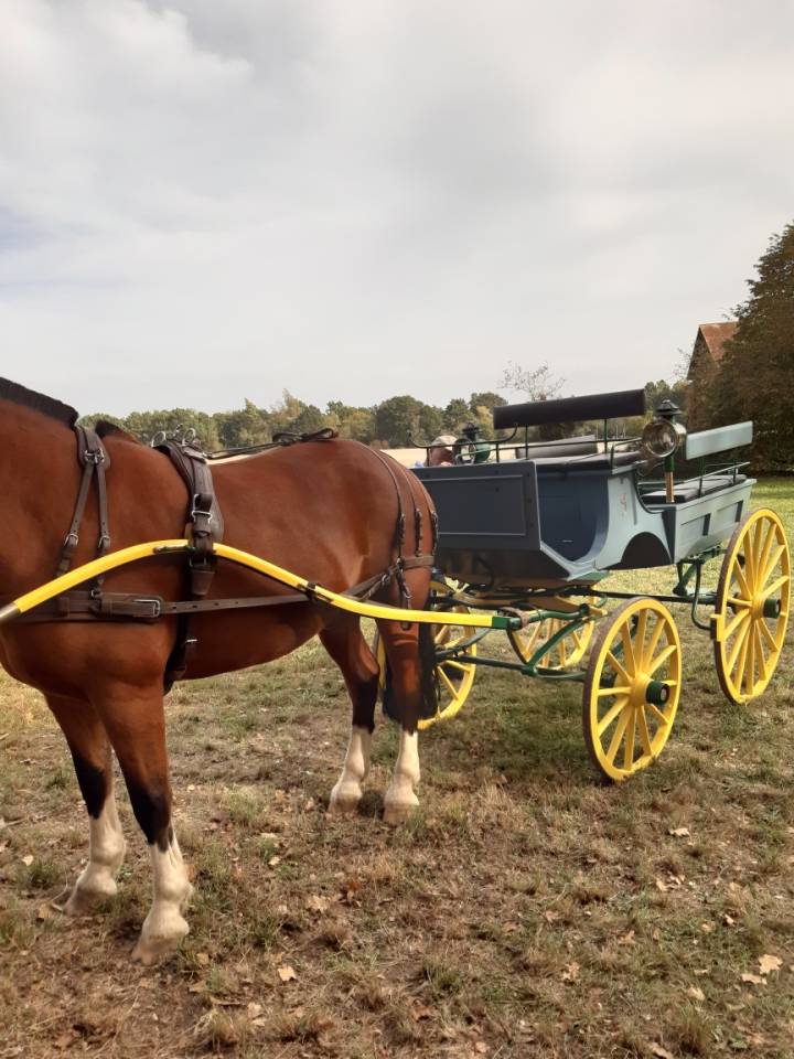 Phaeton restaur&eacute; 