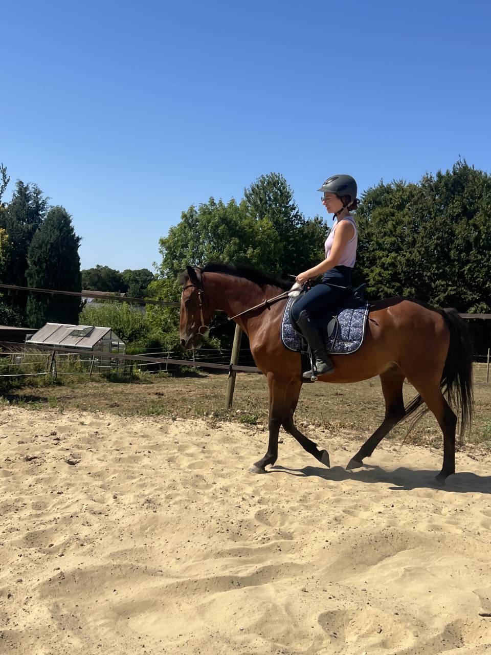 Poney cso /cce 