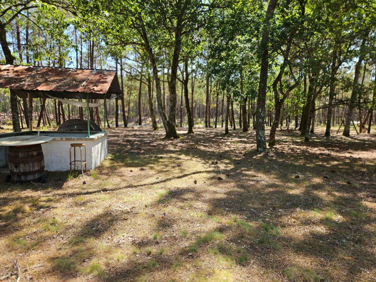 Sur 15 hectares bois&eacute;s et clos, proche Bordeaux