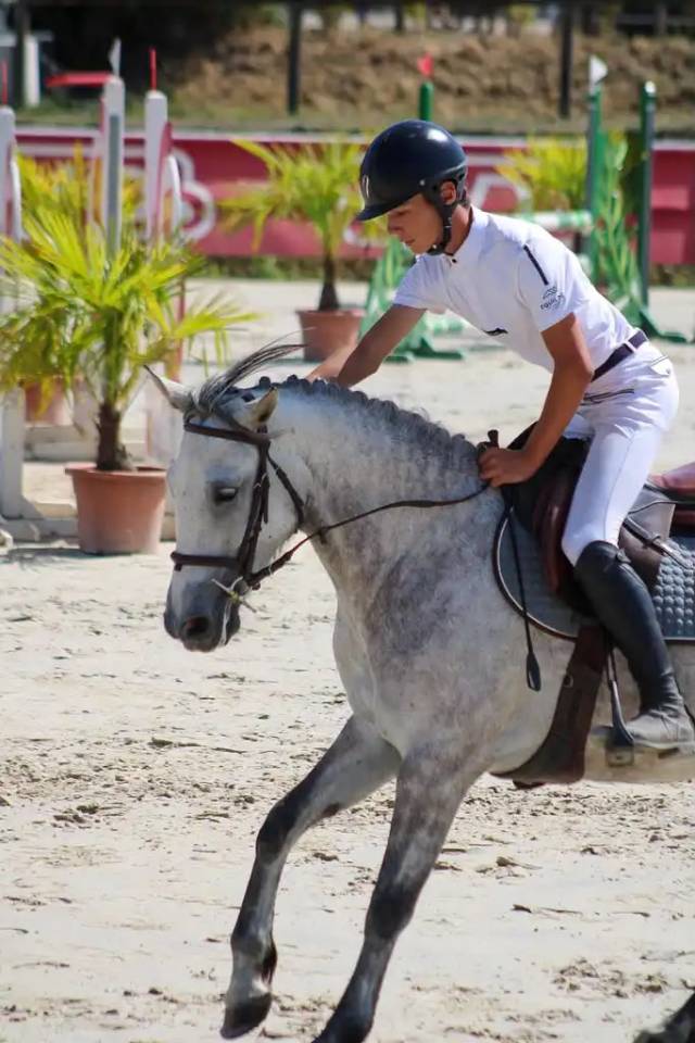 Ponette id&eacute;ale pour CSO et cce