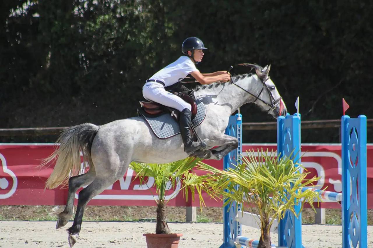 Ponette id&eacute;ale pour CSO et cce