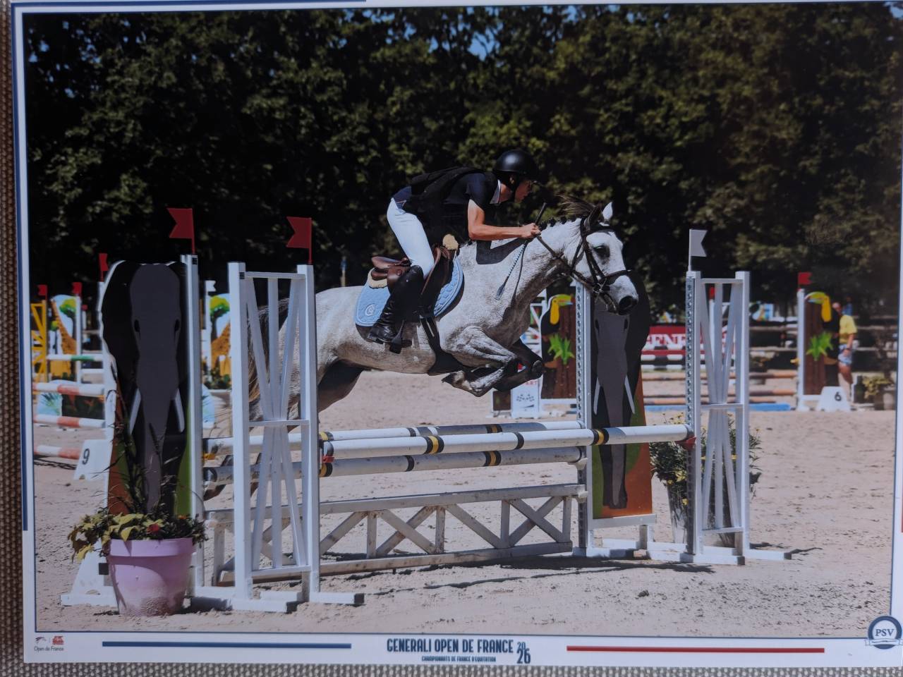 Ponette id&eacute;ale pour CSO et cce