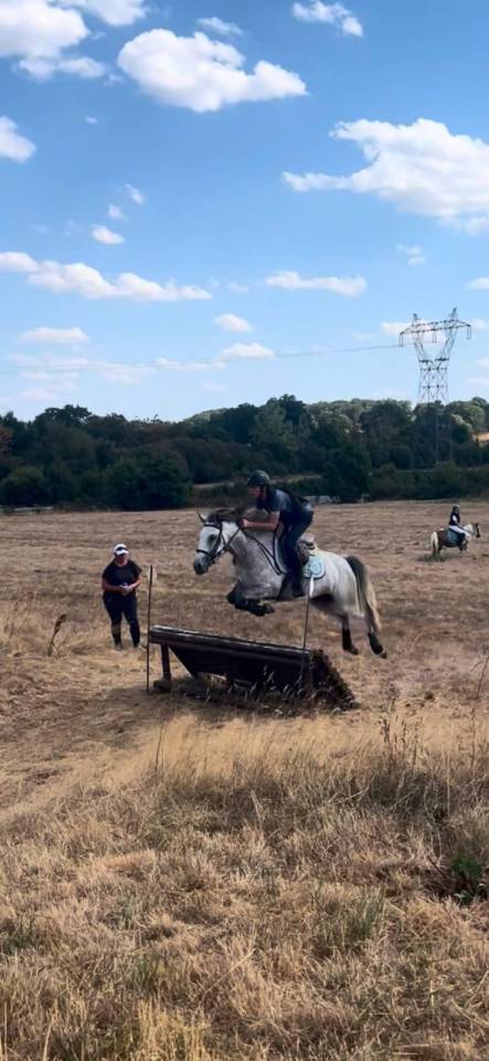 Ponette id&eacute;ale pour CSO et cce