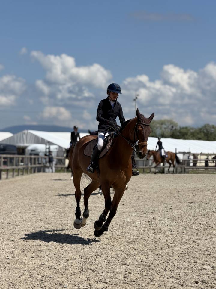 Jument de Sport CSO 