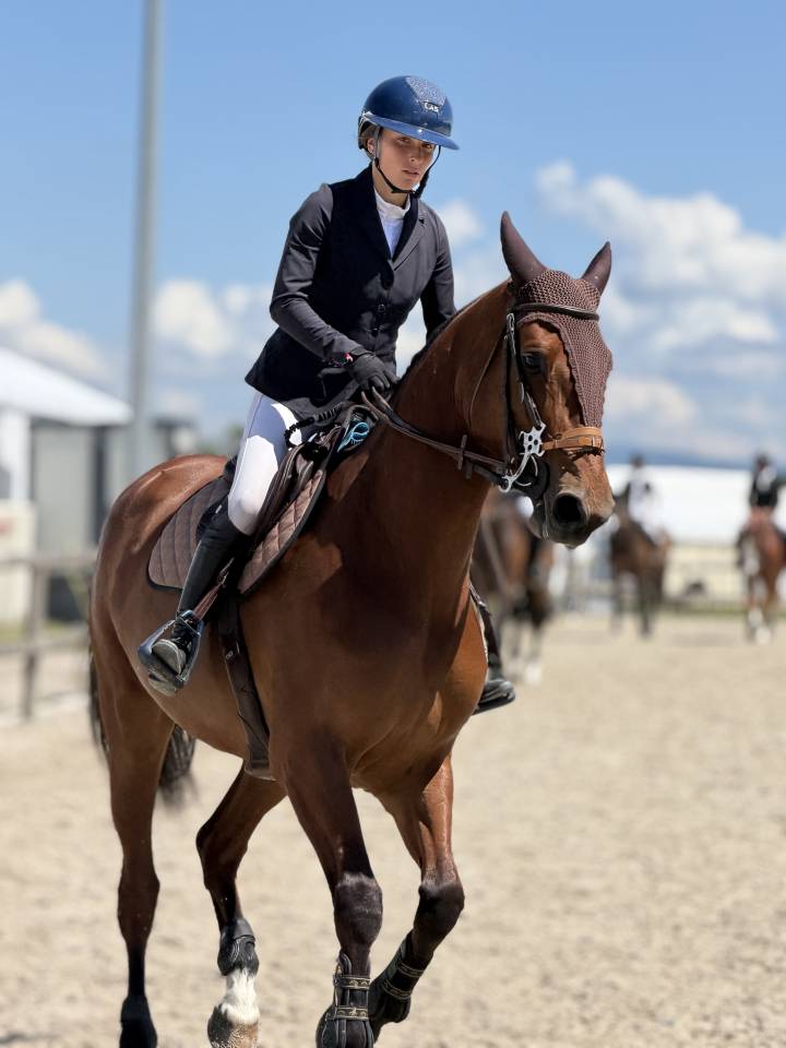 Jument de Sport CSO 