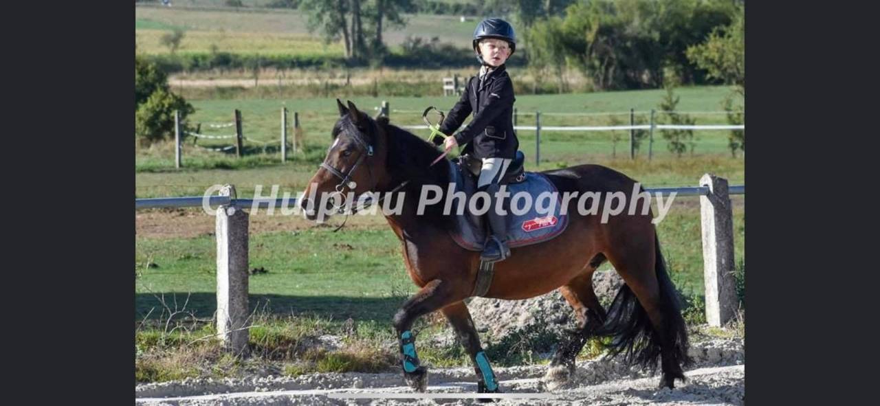Ponette de 16ans 