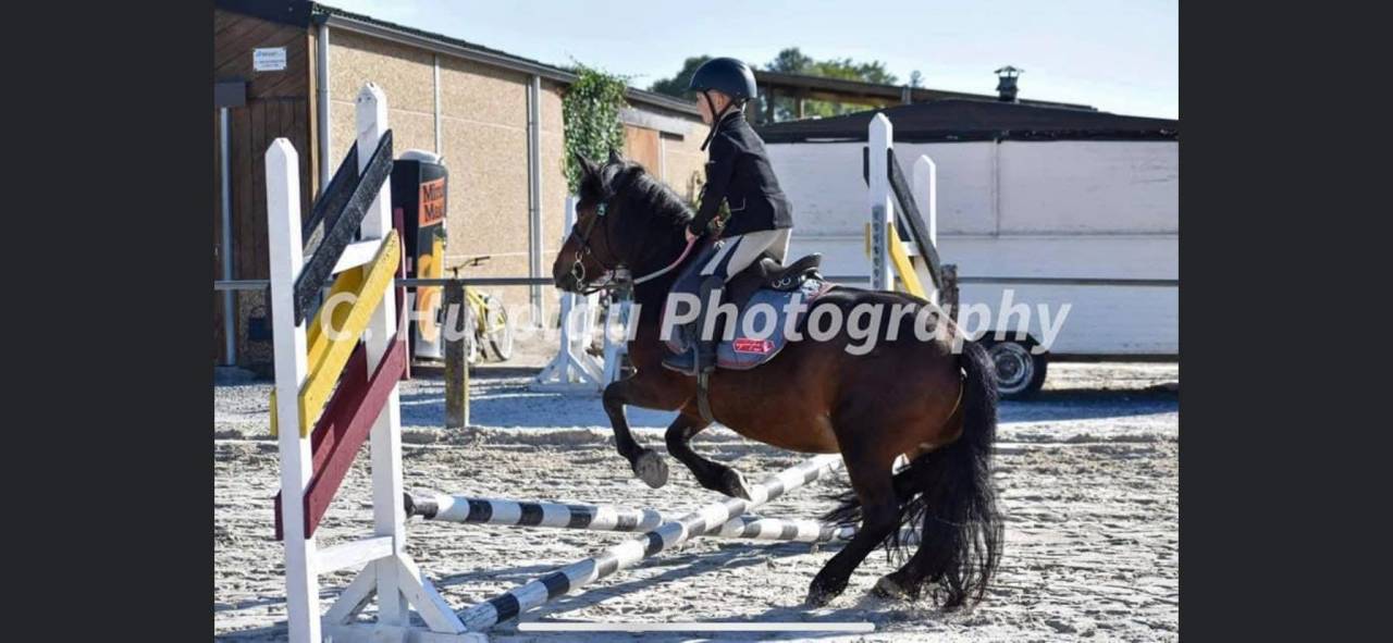 Ponette de 16ans 