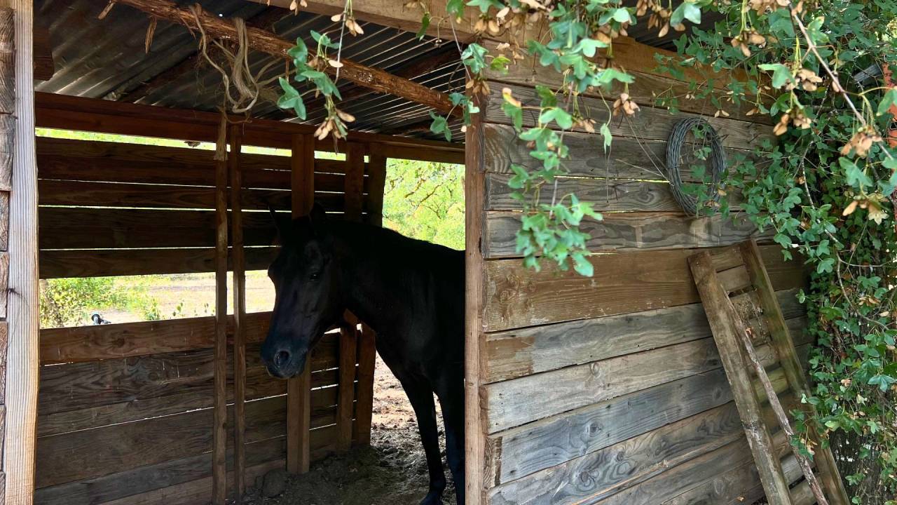 Lot : propri&eacute;t&eacute; de 7ha