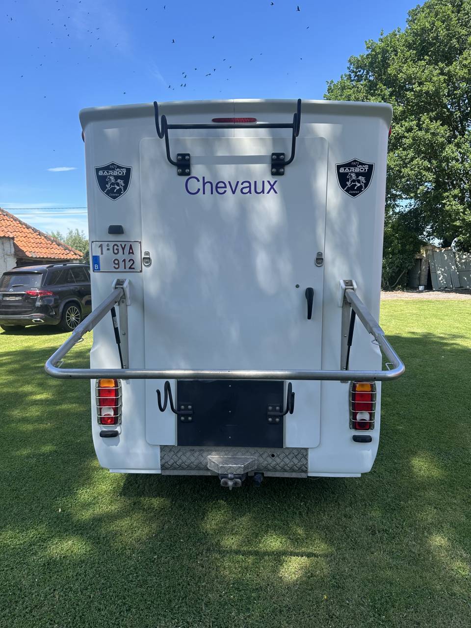 Camion VL Chevaux Renault Master  2020 Occasion
