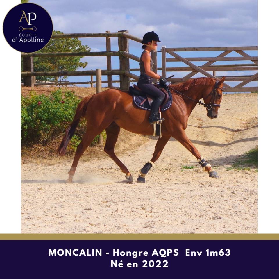 Top AQPS 4 ans