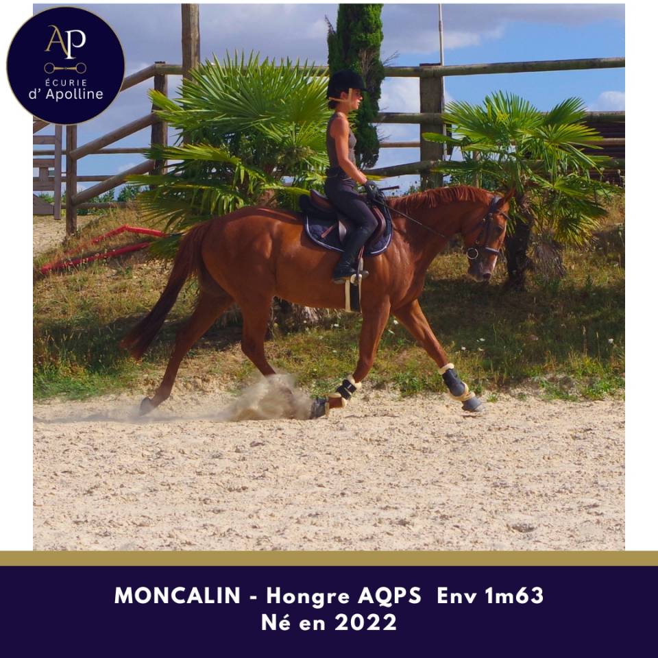 Top AQPS 4 ans