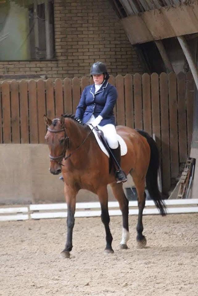 Cheval professeur 