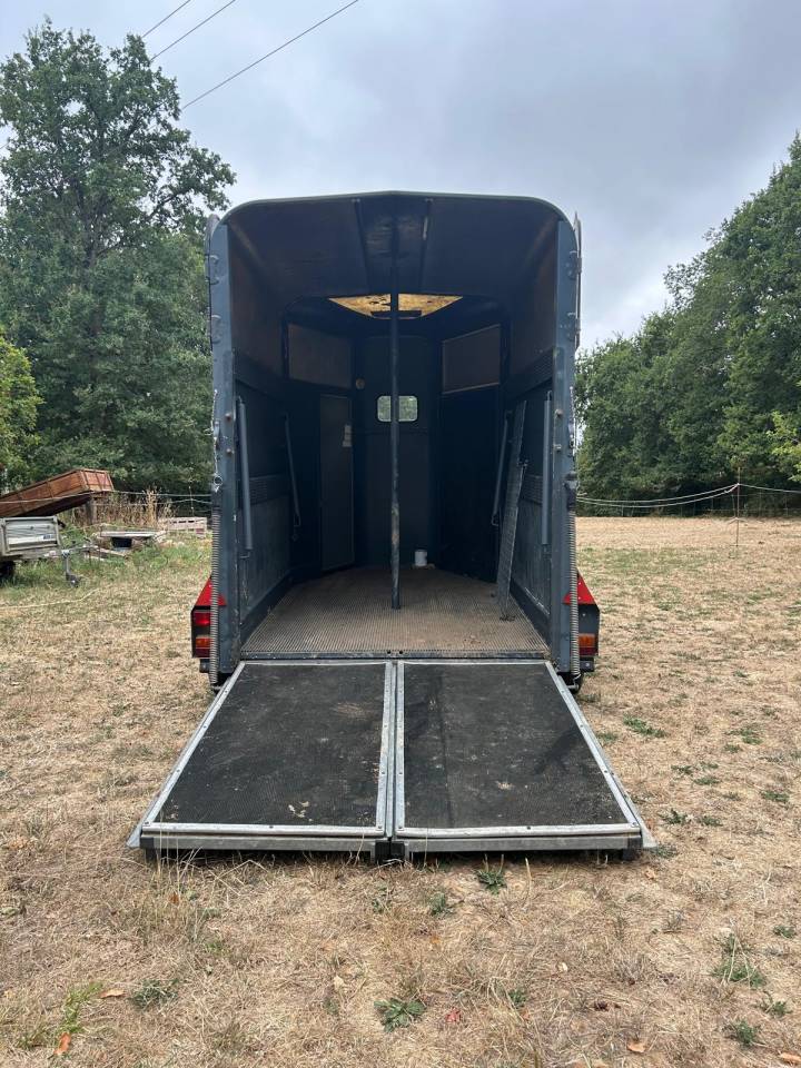 Vend Van 2 places IFOR WILLIAMS